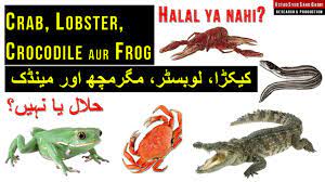 It is unlawful to consume something that is prohibited such as drinking khamr for supposedly medical reasons. Crab Aur Lobster Halal Hai Ya Nahi Youtube