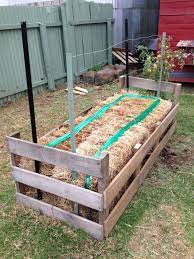 Pin On Pallet Cial