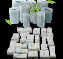Walbest 100pcs Biodegradable Seed Nursery Bags, Non-Woven ...