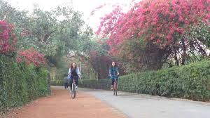 Stephen's college, hindu college and ramjas college. North Campus Explore Best Places To Chill In Delhi Du North Campus On Tripoto