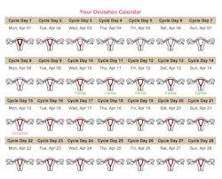 Justmommies Ovulation Calculator They Get It Right