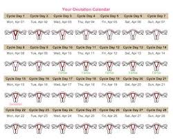 justmommies ovulation calculator they get it right