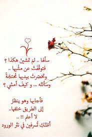 اظنك تسرفين في نثر الورد cool words beautiful arabic words positive quotes