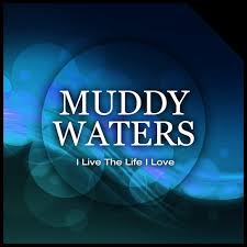 Baby Please Don T Go Lyrics Muddy Waters Only On Jiosaavn
