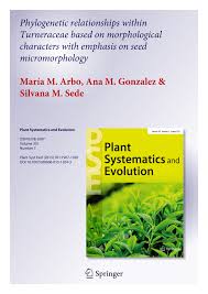 Image result for Streptopetalum serratum