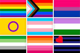 The initialism, as well as some of its common variants, functions as an umbrella term for sexuality and gender identity. 24 Lgbtq Flags And What They Mean Pride Month Flags Symbolism