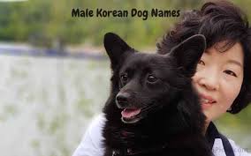 The word for a korean grandmother is halmoni. Korean Dog Names 300 Awesome Ideas Updated 2021
