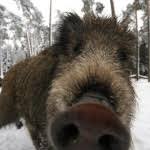 Le premier ministre belge alexander de croo a pour sa part estimé que les relations avec la russie ne pouvaient pas «se limiter à des sanctions économiques et à des expulsions de. Comment Visee Avec Un Point Rouge