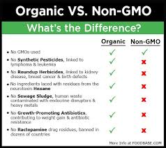 10 Reasons Why You Should Choose The Organic Food Label Over