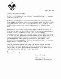 Religious Recommendation Letter Sample Beautiful Eagle Scout Reference Request Sample Letter Doc 7 Reference Letter Letter To Parents Reference Letter Template