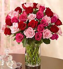 Check spelling or type a new query. Enchanted Rose Medley 1800flowers Com 104943 Valentines Flowers Flower Delivery Enchanted Rose