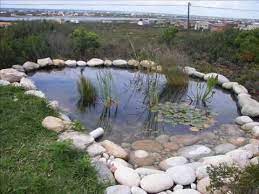How To Build A Natural Looking Garden Fish Pond With Waterfall Youtube Fish Pond Easy Landscaping Pond With Waterfall