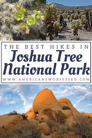 Best Hikes In Joshua Tree American Sw Obsessed National Parks Trip Best Hikes California Travel