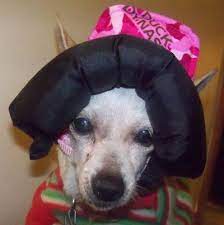 Photo Gallery Customer Bumper Hat Headgear Reflective Dog Harness Headgear Dog Vests