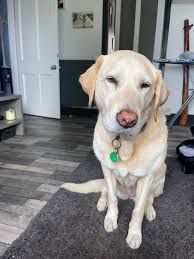 Good morning my friends !!! Hope you have a super Saturday 🤩🤩🤩