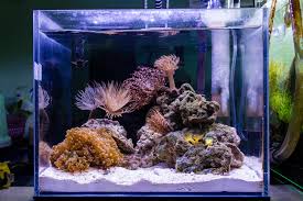 Jual lampu led diy hpl aquarium laut reef tank 50 60cm 54watt kota bekasi yana led diy aquarium tokopedia. Diy Led Aquarium Lights A Planted Aquarium Lighting Guide