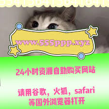 小筱筱濑名步(广瀬蓝子)樋口三叶中野七绪 拉拉自怀甜甜轰炸志田雪奈猫女巫arknight加贺茉莉夏夏Byoru刑具松嶋友里惠长泽梓白袜袜格罗丫