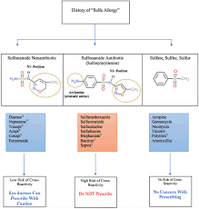 Doctor I Have A Sulfa Allergy Clarifying The Myths Of Cross Reactivity Springerlink