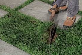 Carrelage 2cm Pose Sur Pelouse Comment Poser Dalles 20mm Sur Herbe En 2020 Pelouse Dalle Jardin Dalles