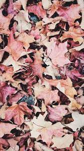 Phone Backgrounds For Fall And Autumn Fall Wallpaper Gold Wallpaper Background Iphone Wallpaper Fall
