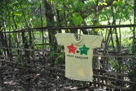 Babi hutan termasuk satwa liar mangsa utama dari harimau sumatera (panthera tigris sumatrae) dan babi hutan memiliki penglihatan yang kurang baik, namun memiliki penciuman yang sangat tajam. Sadahu Romantika Bima