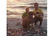 The campground is nicely located on the shores of lake erie, and the views at sunset are excellent. Campground Details Lake Erie State Park Ny New York State Parks