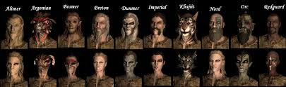 Races In Skyrim The Elder Scrolls V With A Chart Hubpages