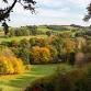 Winkworth Arboretum - Connecting with Nature’s event image