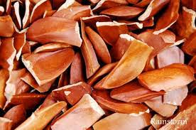 Sampingan sekiranya diambil dalam dos yang berlebihan. Buah Tunjuk Langit Kapsul Tunjuk Langit