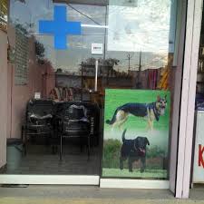 Our goal is to improve your pet's health, quality and length of life by providing the most comprehensive care in the waterloo, cedar falls and surrounding areas. Companion Pet Clinic Pet Clinic And Shop