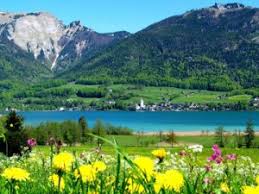 Dieser artikel behandelt den see im salzkammergut, das buch über den wolfgangsee ist unter wolfgangsee (buch) zu finden. Kultur Salzburg Termine Reisen Tourismus Wolfgangsee Region Ausflugziele