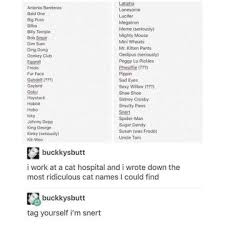 21 Cats That Are The Epitome Of Cat Funny Cat Names Cat Names Memes