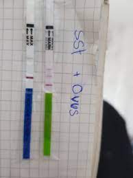 Ausfluss fast weg und leicht weißlich als wäre der es vorbei. Ovu Bei Es 5 Positiv Kinderwunsch Babycenter