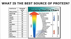 What Is The Best Source Of Protein From A Biological Perspective