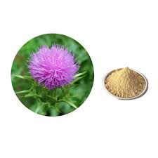 To ensure that you are completely happy with your purchase, shopee is offering 15 days free return at zero cost! New Product Standard Herbal Milk Thistle Powder Extract Silymarin Free Sample Buy Milk Thistle Powder Extract Silymarin Milk Thistle Product On Alibaba Com