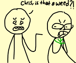 Emjay ceo chris vaughn told usa today his weed company had a. Is That A Weed Drawception