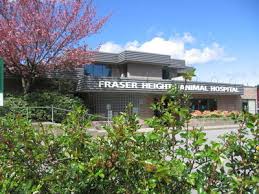 Eastern animal hospital is now offering urgent care for your pet. Fraser Heights Animal Hospital 15585 104 Ave Surrey Reviews And Appointments Topvet