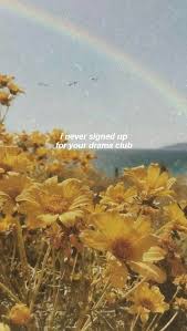 Image Aesthetic Yellow Flowers 543x960 Wallpaper Teahub Io