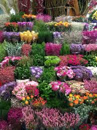 El mercado de jamaica es uno de los mercados tradicionales de la méxico, d.f. Mercado De Jamaica Mexico City Love This Place One Of My Favorite Places Ever Beautiful Flowers Garden Beautiful Flowers Flowers For Sale