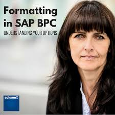Formatting in SAP BPC