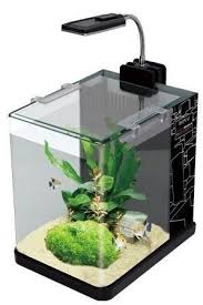 Aquario Boyu Jad Me175a Com Filtro E Luminaria Led 110v R 299 99 Aquario Boyu Tanques De Peixes Aquarios
