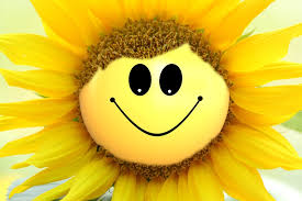 Napraforgó Virág Smiley - Ingyenes kép a Pixabay-en