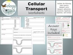 Passive transport by facilitated diffusion. Cellular Transport Worksheets Teaching Resources
