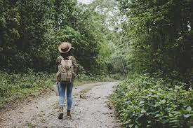 5 Sentiers Insolites Pour Une Promenade Magique En Wallonie Sentiers Balade Et Randonnee