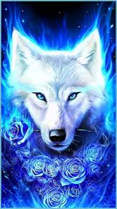 Cool Blue Wolf Wallpapers Top Free Cool Blue Wolf Backgrounds Galaxy Wolf Cool Wallpaper Neat Download, share or upload your own one! cool blue wolf wallpapers top free