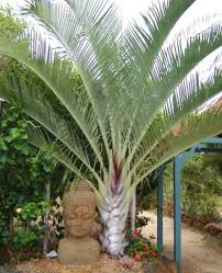 Pin On Garden Design Ideas