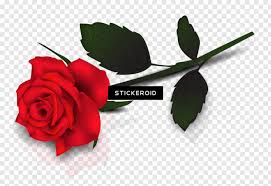 Rip dad i think about you everyday! Rose Border Black And White Rose Rose Petals Falling Rose Drawing Red Rose Rose Tattoo 631710 Free Icon Library