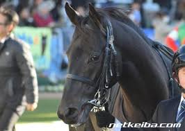 2:51 競馬じじい 25 837 просмотров. ãƒ€ãƒŽãƒ³ã‚­ãƒ³ã‚°ãƒªãƒ¼ ç«¶èµ°é¦¬ãƒ‡ãƒ¼ã‚¿ Netkeiba Com