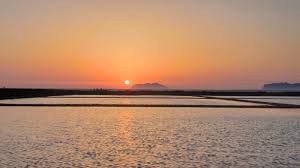 Perche Visitare Le Cantine Pellegrino A Marsala In Sicilia Dal terreno vulcanico viene raccolta l'uva a mano in cassetta da 12 kg, ricoperte di ghiaccio secco per mantenere la temperatura bassa. perche visitare le cantine pellegrino a