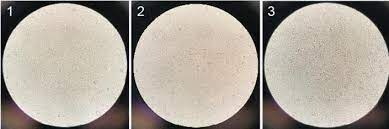 Baxter international signs contract with nanotherapeutics. The Role Of Vero Cells In The Research Of Viral Vaccines Accegen